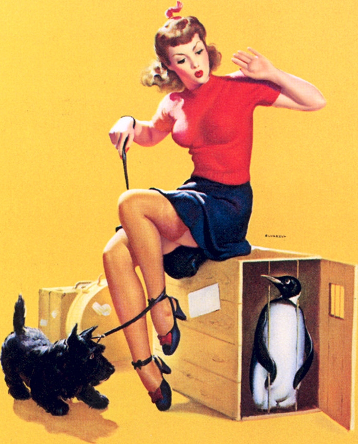 penguin_in_shipping_crate